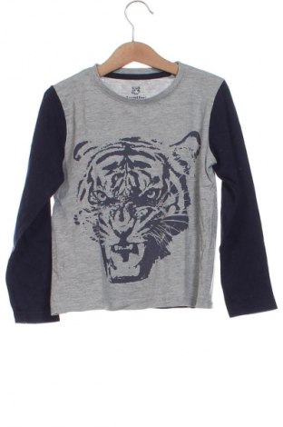 Kinder Shirt Lupilu, Größe 5-6y/ 116-122 cm, Farbe Mehrfarbig, Preis 3,99 €