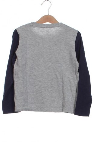 Kinder Shirt Lupilu, Größe 5-6y/ 116-122 cm, Farbe Mehrfarbig, Preis 3,99 €