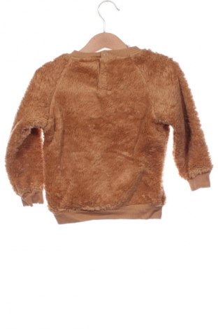 Dziecięca bluzka Lupilu, Rozmiar 12-18m/ 80-86 cm, Kolor Brązowy, Cena 26,99 zł