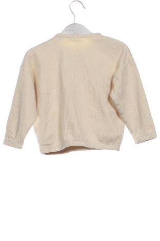 Παιδική μπλούζα Pepco, Μέγεθος 18-24m/ 86-98 εκ., Χρώμα  Μπέζ, Τιμή 3,99 €
