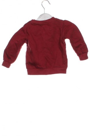 Детска блуза Sinsay, Размер 9-12m/ 74-80 см, Цвят Многоцветен, Цена 11,40 лв.