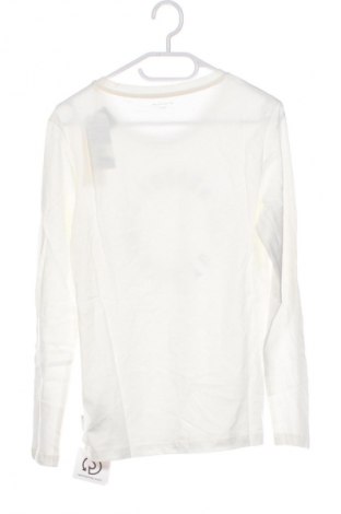 Kinder Shirt Tom Tailor, Größe 15-18y/ 170-176 cm, Farbe Ecru, Preis 33,99 €