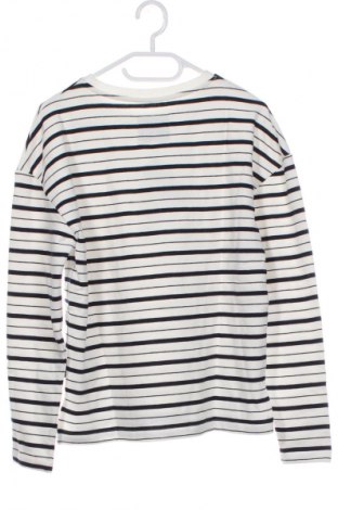 Dětská halenka  Tom Tailor, Velikost 15-18y/ 170-176 cm, Barva Vícebarevné, Cena  629,00 Kč