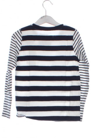 Παιδική μπλούζα Tom Tailor, Μέγεθος 5-6y/ 116-122 εκ., Χρώμα Πολύχρωμο, Τιμή 31,99 €