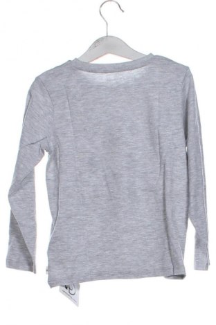 Gyerek blúz Tom Tailor, Méret 3-4y / 104-110 cm, Szín Szürke, Ár 9 629 Ft