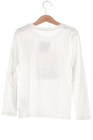 Kinder Shirt Tom Tailor, Größe 5-6y/ 116-122 cm, Farbe Mehrfarbig, Preis 33,99 €