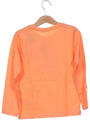 Gyerek blúz Tom Tailor, Méret 3-4y / 104-110 cm, Szín Narancssárga
, Ár 9 629 Ft