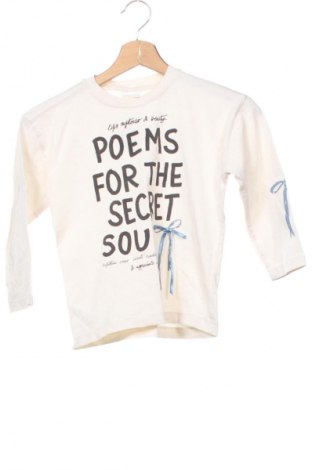 Kinder Shirt Zara, Größe 5-6y/ 116-122 cm, Farbe Mehrfarbig, Preis 7,19 €