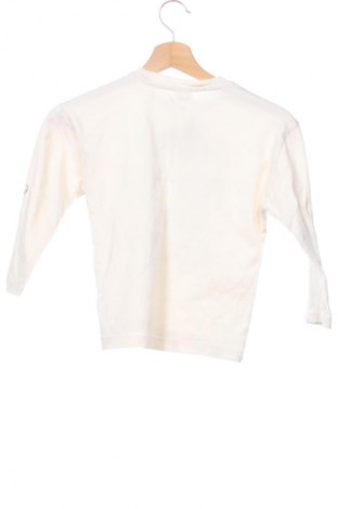 Kinder Shirt Zara, Größe 5-6y/ 116-122 cm, Farbe Mehrfarbig, Preis 7,19 €