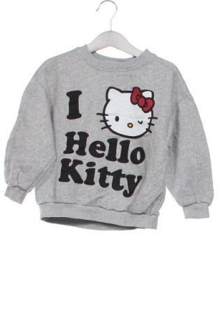 Kinder Shirt Zara, Größe 2-3y/ 98-104 cm, Farbe Grau, Preis 8,99 €