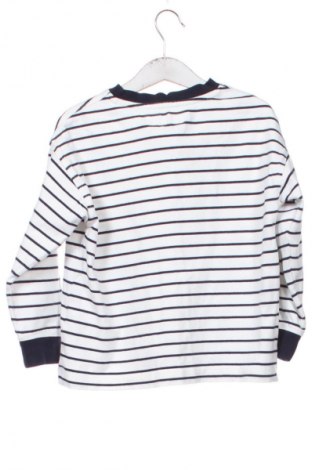 Dětská halenka  Zara, Velikost 5-6y/ 116-122 cm, Barva Vícebarevné, Cena  457,00 Kč