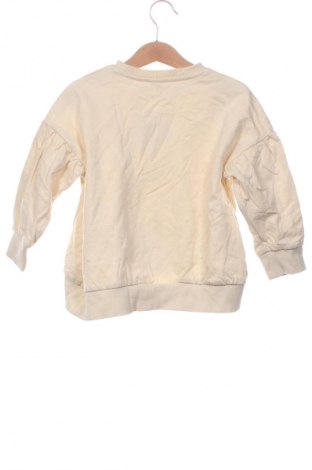 Kinder Shirt Zeeman, Größe 4-5y/ 110-116 cm, Farbe Mehrfarbig, Preis 5,99 €