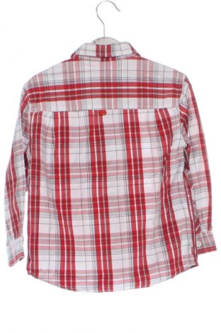 Kinderhemd Ecko Unltd., Größe 3-6m/ 62-68 cm, Farbe Mehrfarbig, Preis 12,00 €