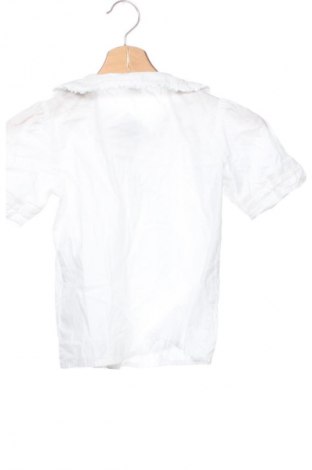 Kinderhemd LC Waikiki, Größe 5-6y/ 116-122 cm, Farbe Weiß, Preis 10,69 €