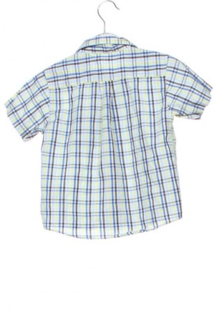 Kinderhemd Ladybird, Größe 2-3y/ 98-104 cm, Farbe Mehrfarbig, Preis 9,99 €