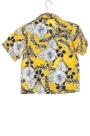 Dětská košile  Miller's, Velikost 2-3m/ 56-62 cm, Barva Vícebarevné, Cena  257,00 Kč