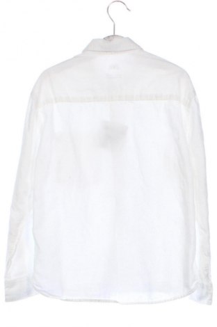 Dětská košile  Zara, Velikost 7-8y/ 128-134 cm, Barva Krémová, Cena  119,00 Kč
