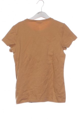 Dětské tričko  Coccodrillo, Velikost 10-11y/ 146-152 cm, Barva Vícebarevné, Cena  127,00 Kč