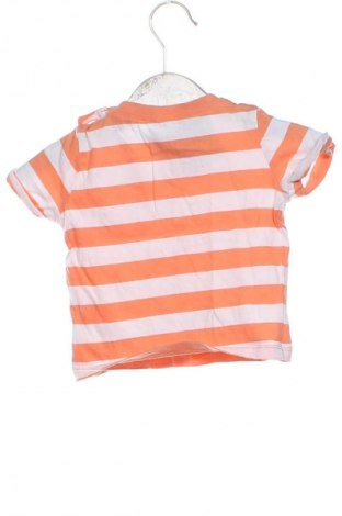 Dětské tričko  F&F, Velikost 2-3m/ 56-62 cm, Barva Vícebarevné, Cena  99,00 Kč