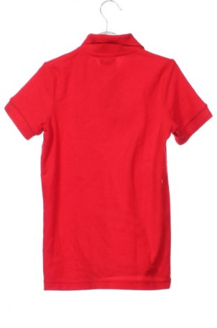 Dětské tričko  Malfini, Velikost 7-8y/ 128-134 cm, Barva Červená, Cena  89,00 Kč