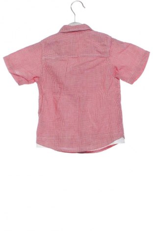 Dětské tričko  Pumpkin Patch, Velikost 12-18m/ 80-86 cm, Barva Vícebarevné, Cena  124,00 Kč