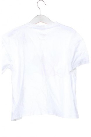 Dětské tričko  Pusheen, Velikost 7-8y/ 128-134 cm, Barva Vícebarevné, Cena  144,00 Kč