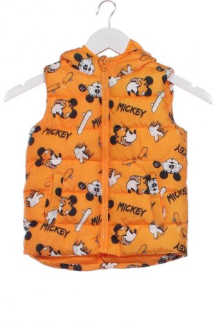 Kinderweste Sinsay, Größe 3-4y/ 104-110 cm, Farbe Mehrfarbig, Preis 7,99 €