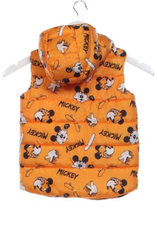 Kinderweste Sinsay, Größe 3-4y/ 104-110 cm, Farbe Mehrfarbig, Preis 7,99 €