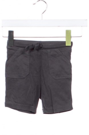Kinder Shorts F&F, Größe 18-24m/ 86-98 cm, Farbe Grau, Preis 6,99 €