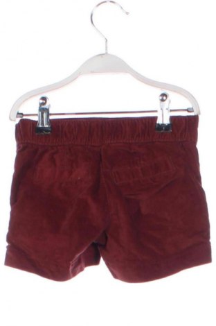 Detské krátke nohavice  Gap Baby, Veľkosť 3-4y/ 104-110 cm, Farba Červená, Cena  7,95 €