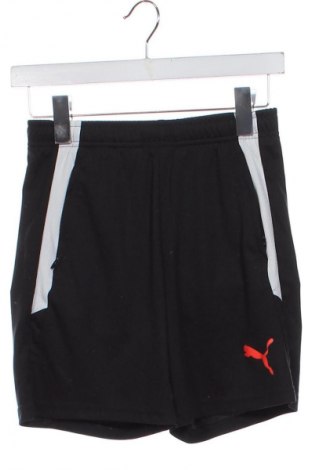 Kinder Shorts PUMA, Größe 13-14y/ 164-168 cm, Farbe Mehrfarbig, Preis 11,99 €