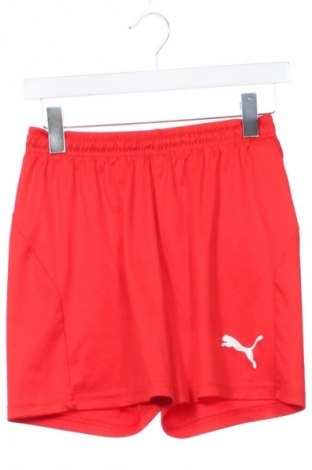 Dětské krátké kalhoty  PUMA, Velikost 12-13y/ 158-164 cm, Barva Červená, Cena  346,00 Kč