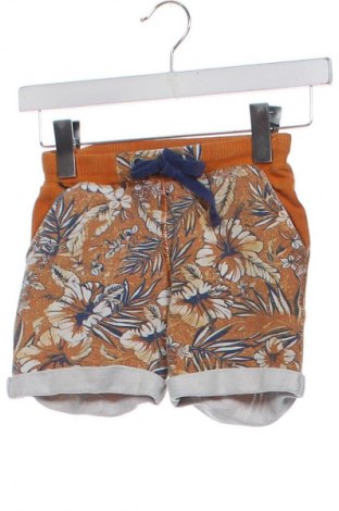 Детски къс панталон Primigi, Размер 2-3y/ 98-104 см, Цвят Многоцветен, Цена 17,86 лв.