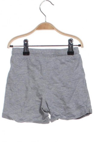 Kinder Shorts Sinsay, Größe 12-18m/ 80-86 cm, Farbe Grau, Preis 6,99 €