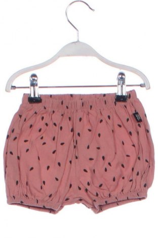 Kinder Shorts Unbranded, Größe 18-24m/ 86-98 cm, Farbe Mehrfarbig, Preis 6,99 €