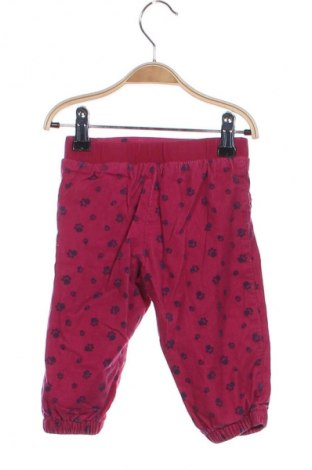 Kinderhose Lupilu, Größe 3-6m/ 62-68 cm, Farbe Mehrfarbig, Preis 7,99 €