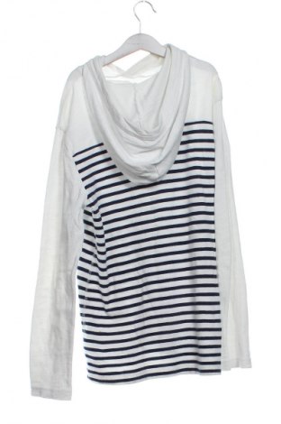 Kinder Sweatshirts Gap Kids, Größe 14-15y/ 168-170 cm, Farbe Mehrfarbig, Preis 15,56 €