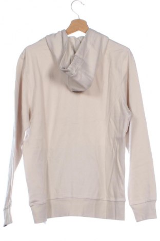 Παιδικό φούτερ Tom Tailor, Μέγεθος 15-18y/ 170-176 εκ., Χρώμα  Μπέζ, Τιμή 25,99 €