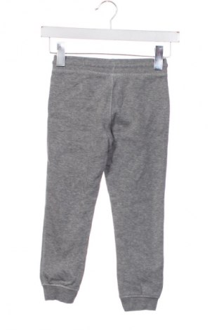 Dziecięce spodnie sportowe Palomino, Rozmiar 4-5y/ 110-116 cm, Kolor Szary, Cena 46,99 zł