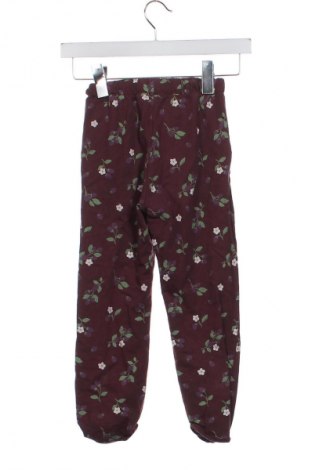 Kinder Sporthose Unbranded, Größe 5-6y/ 116-122 cm, Farbe Mehrfarbig, Preis 8,99 €