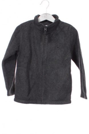 Детско спортно горнище Palomino, Размер 3-4y/ 104-110 см, Цвят Сив, Цена 29,99 лв.