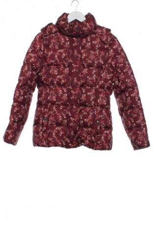 Detská bunda  Here+There, Veľkosť 15-18y/ 170-176 cm, Farba Viacfarebná, Cena  21,99 €