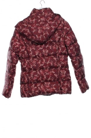 Detská bunda  Here+There, Veľkosť 15-18y/ 170-176 cm, Farba Viacfarebná, Cena  21,99 €