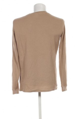 Herren Shirt FSBN, Größe L, Farbe Braun, Preis 6,99 €