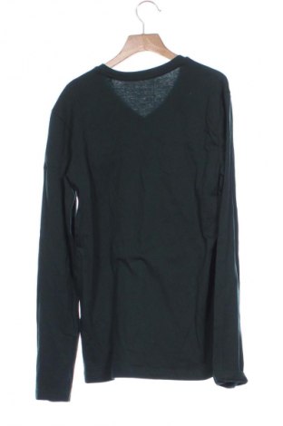 Herren Shirt Sinsay, Größe XS, Farbe Grün, Preis 15,86 €