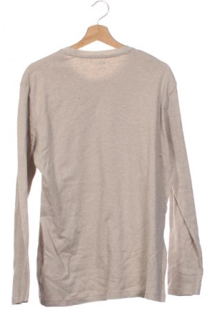Herren Shirt Uniqlo, Größe XL, Farbe Beige, Preis € 11,99