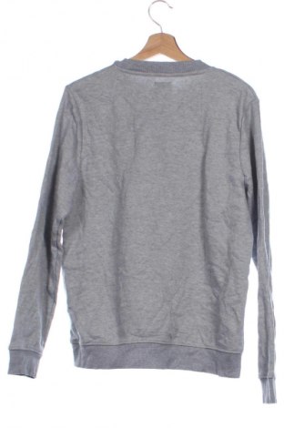 Herren Shirt Watson's, Größe XS, Farbe Grau, Preis 4,99 €