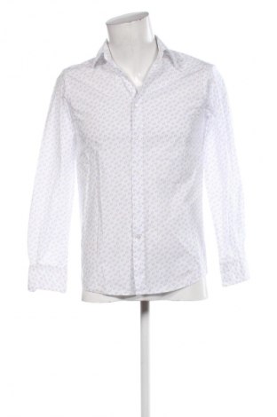 Herrenhemd Bigotti, Größe S, Farbe Mehrfarbig, Preis 14,99 €