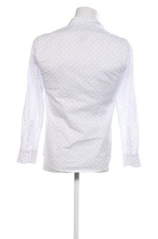 Herrenhemd Bigotti, Größe S, Farbe Mehrfarbig, Preis 14,99 €