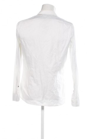 Męska koszula Vannucci, Rozmiar M, Kolor Biały, Cena 47,99 zł